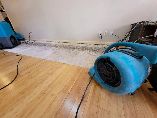 Professional Basement Flood Cleanup technician working in Duncan, AZ